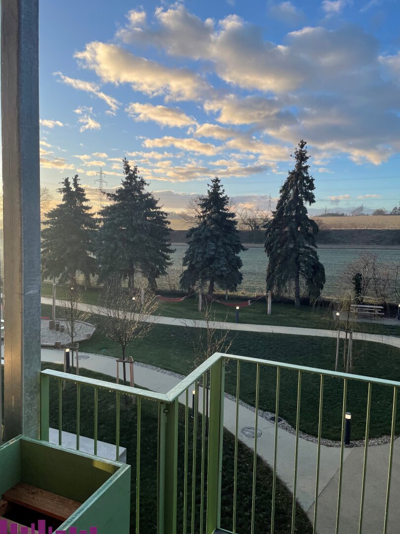 Blick vom Balkon ins Grüne